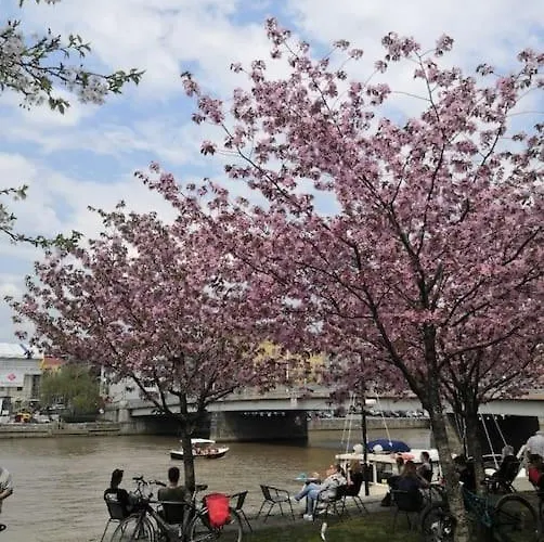 1 Bedroom Cityhome 1-5 Pers, Wifi, Washing Machine Apartment